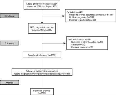 Effects of Paternal Obesity on Fetal Development and Pregnancy Complications: A Prospective Clinical Cohort Study